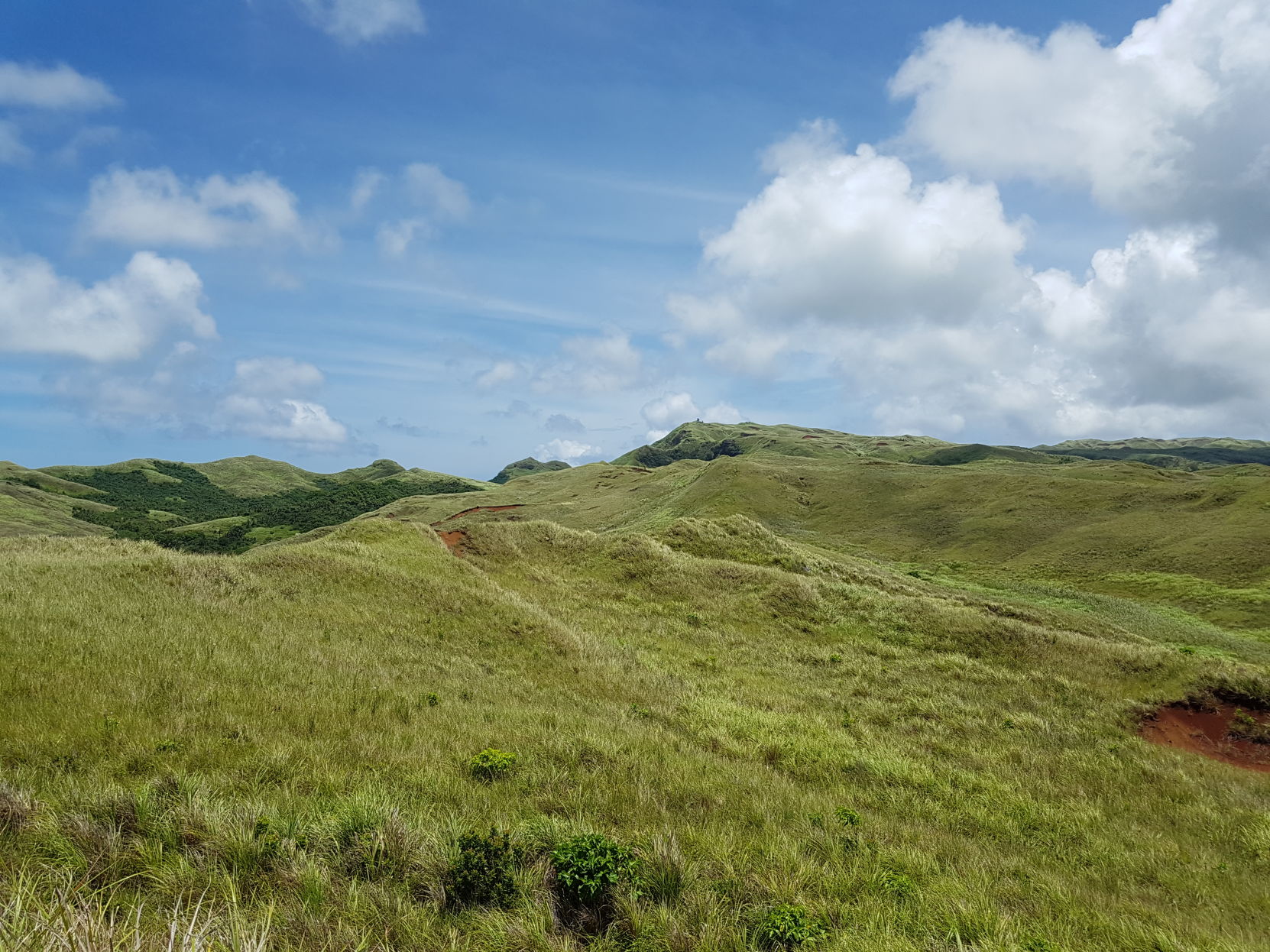 top of the red-dirt hill